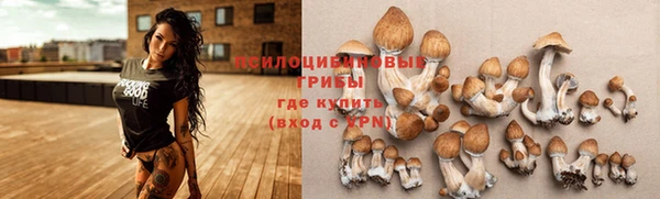 сатива Алексеевка