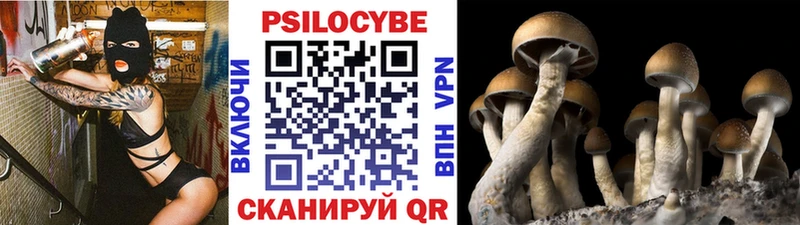 блэк спрут Перевоз Галлюциногенные грибы ЛСД цена наркотик